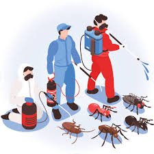 Pest Control Services Banner